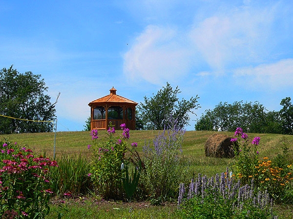 gazebo with flowers infront